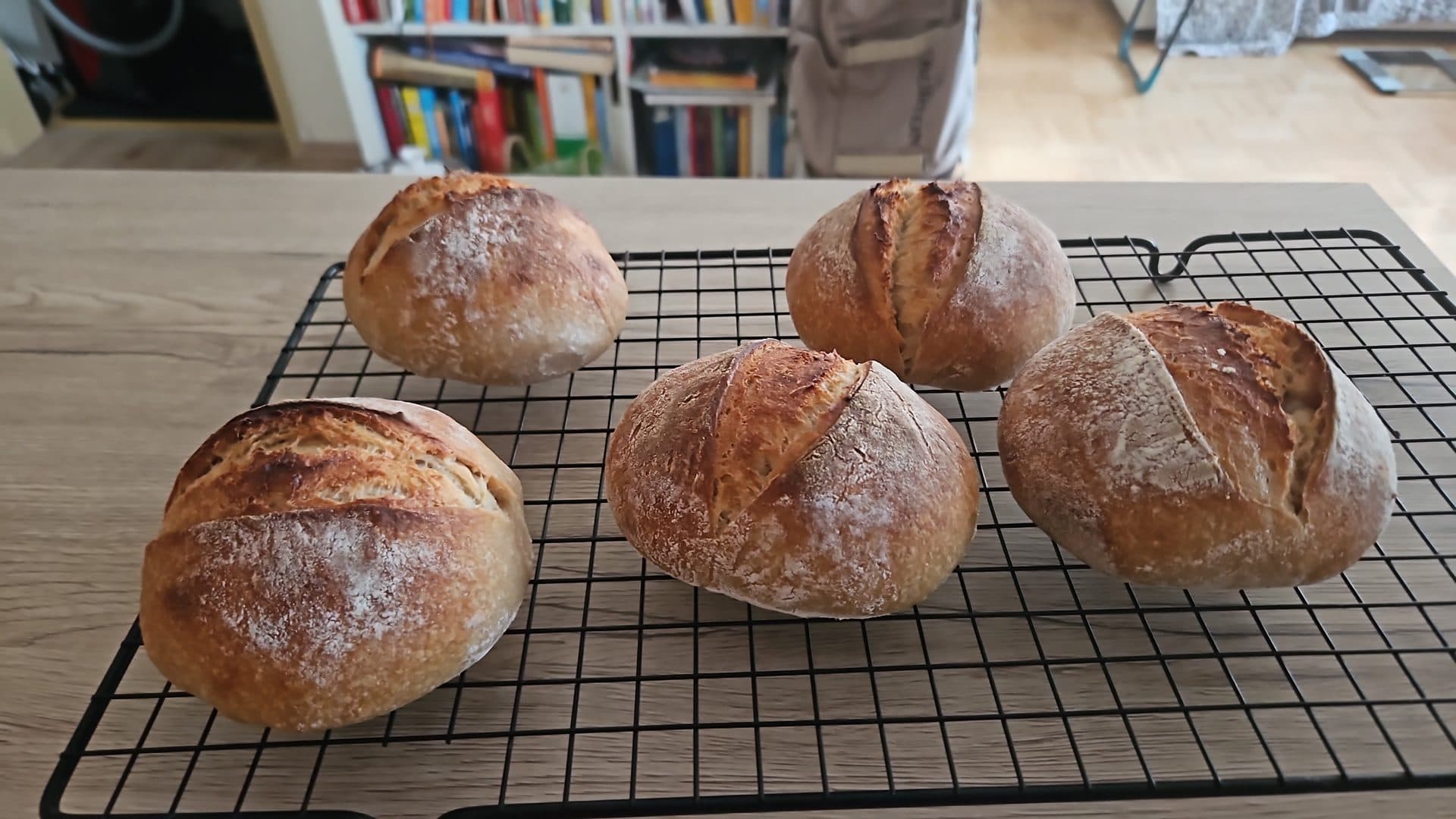 Rustikale Roggenbrötchen 500g mit 81 % Hydration Bild 1