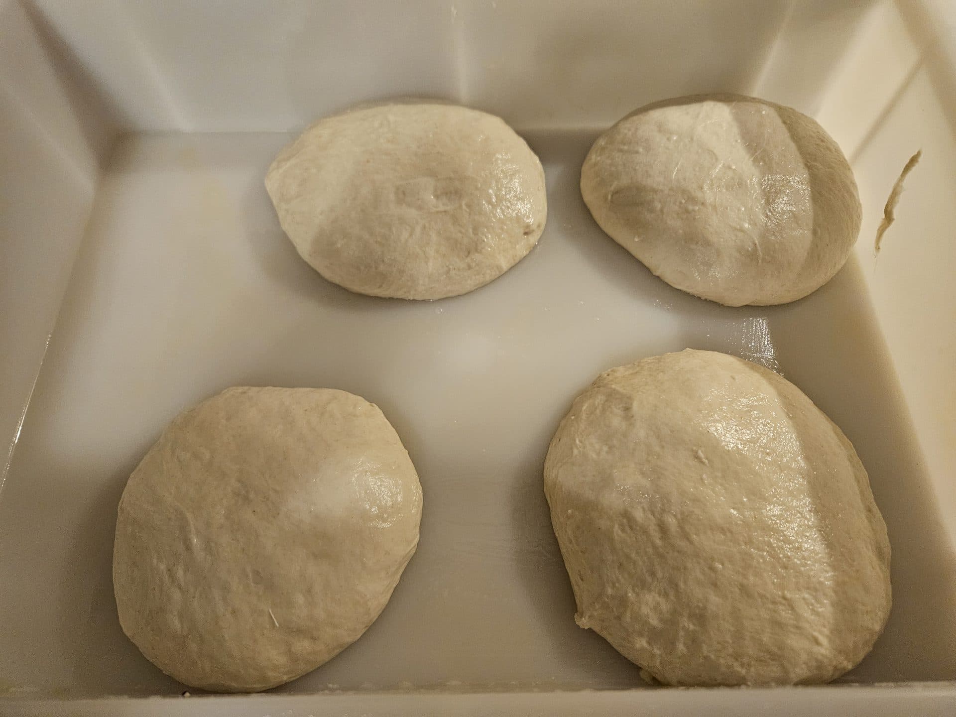 Sauerteig-Pizza 65% Hydration Bild 1