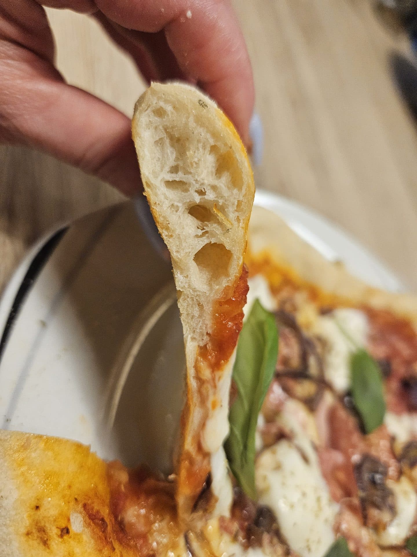 Sauerteig-Pizza 65% Hydration Bild 3